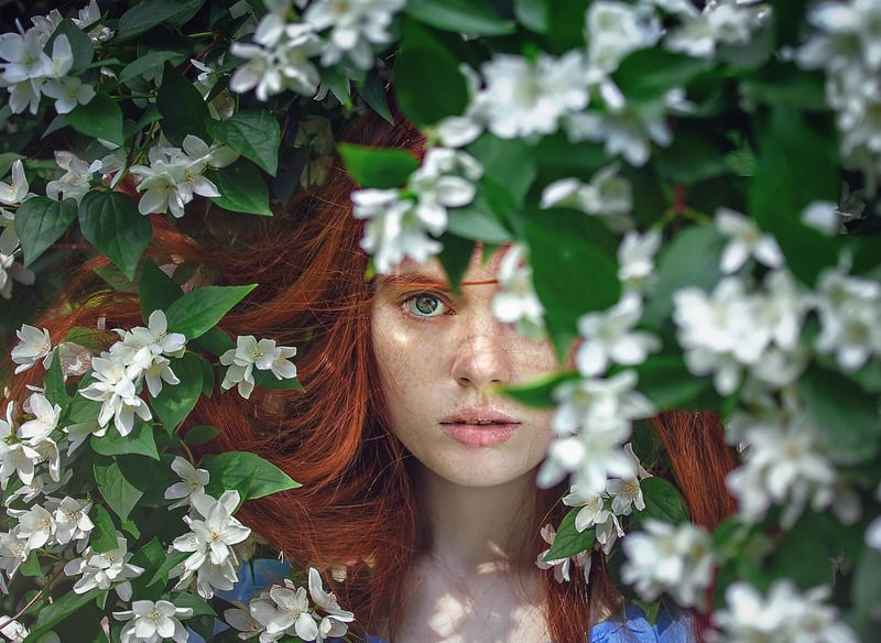 Whimsical foliage